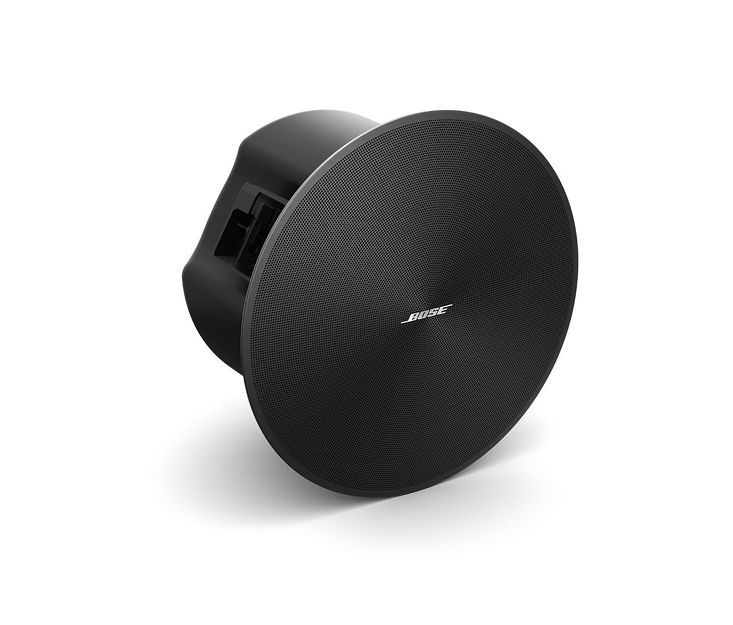 Bose DesignMax DM6C