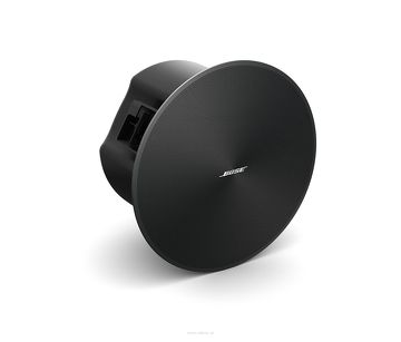 Bose DesignMax DM6C