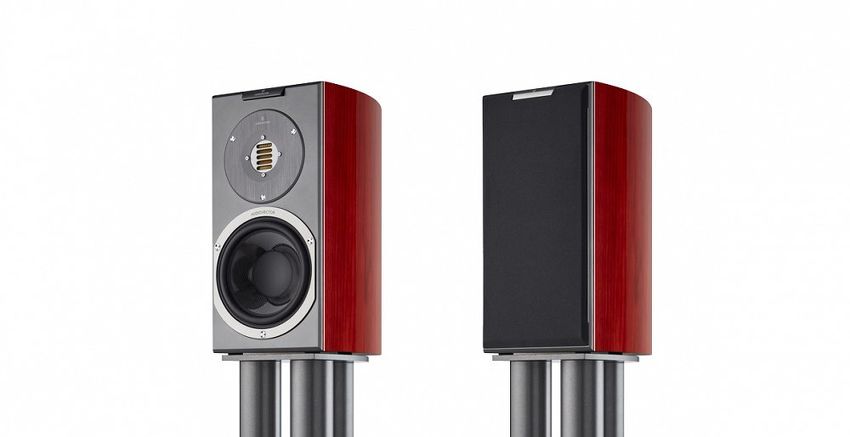 Audiovector R1 Avantgarde (Rosewood matte)