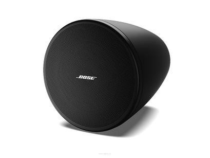 Bose DesignMax DM3P