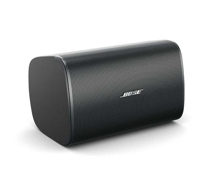 Bose DesignMax DM8S