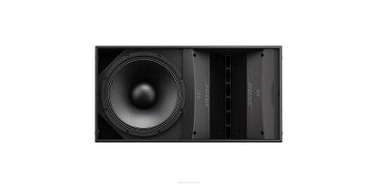 Bose ArenaMatch AM10/100 Outdoor Loudspeaker