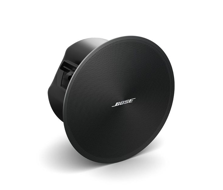 Bose DesignMax DM3C