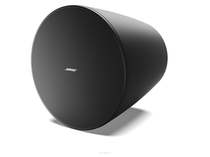 Bose DesignMax DM10P-SUB