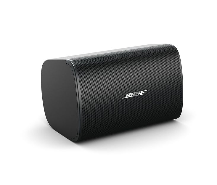 Bose DesignMax DM6SE