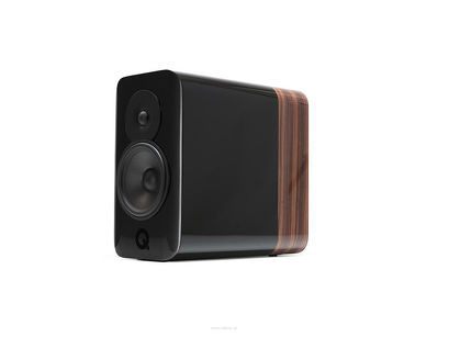 Q Acoustics - CONCEPT 300 - BLACK & ROSEWOOD GLOSS 