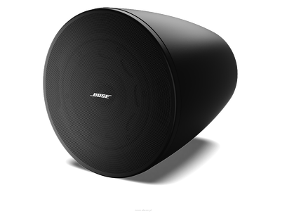 Bose DesignMax DM6PE