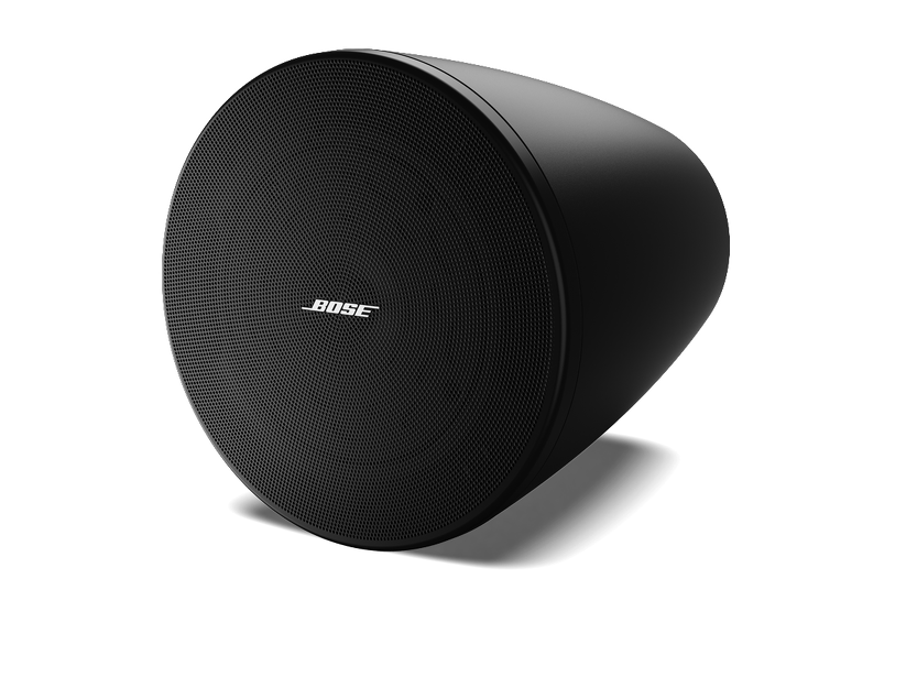 Bose DesignMax DM5P