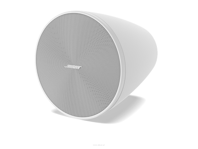 Bose DesignMax DM5P