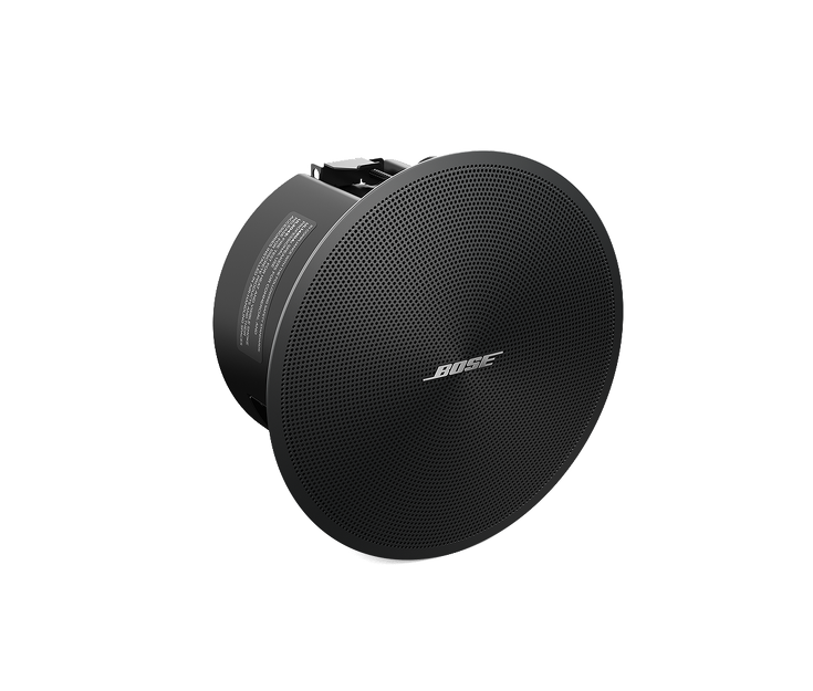 Bose DesignMax DM2C-LP